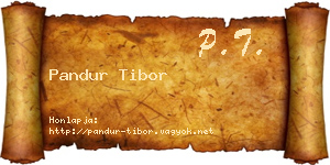 Pandur Tibor névjegykártya
